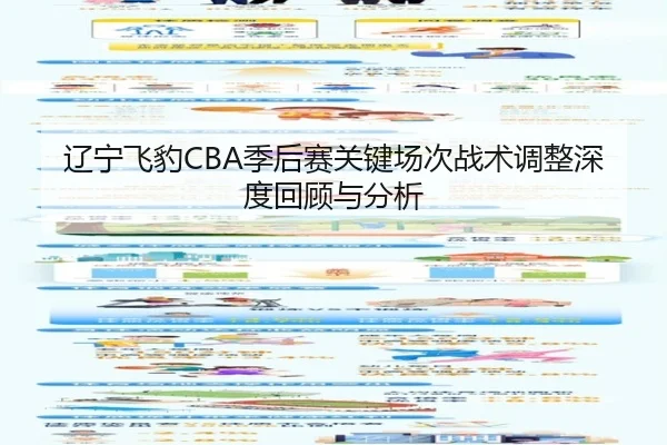 辽宁飞豹CBA季后赛关键场次战术调整深度回顾与分析